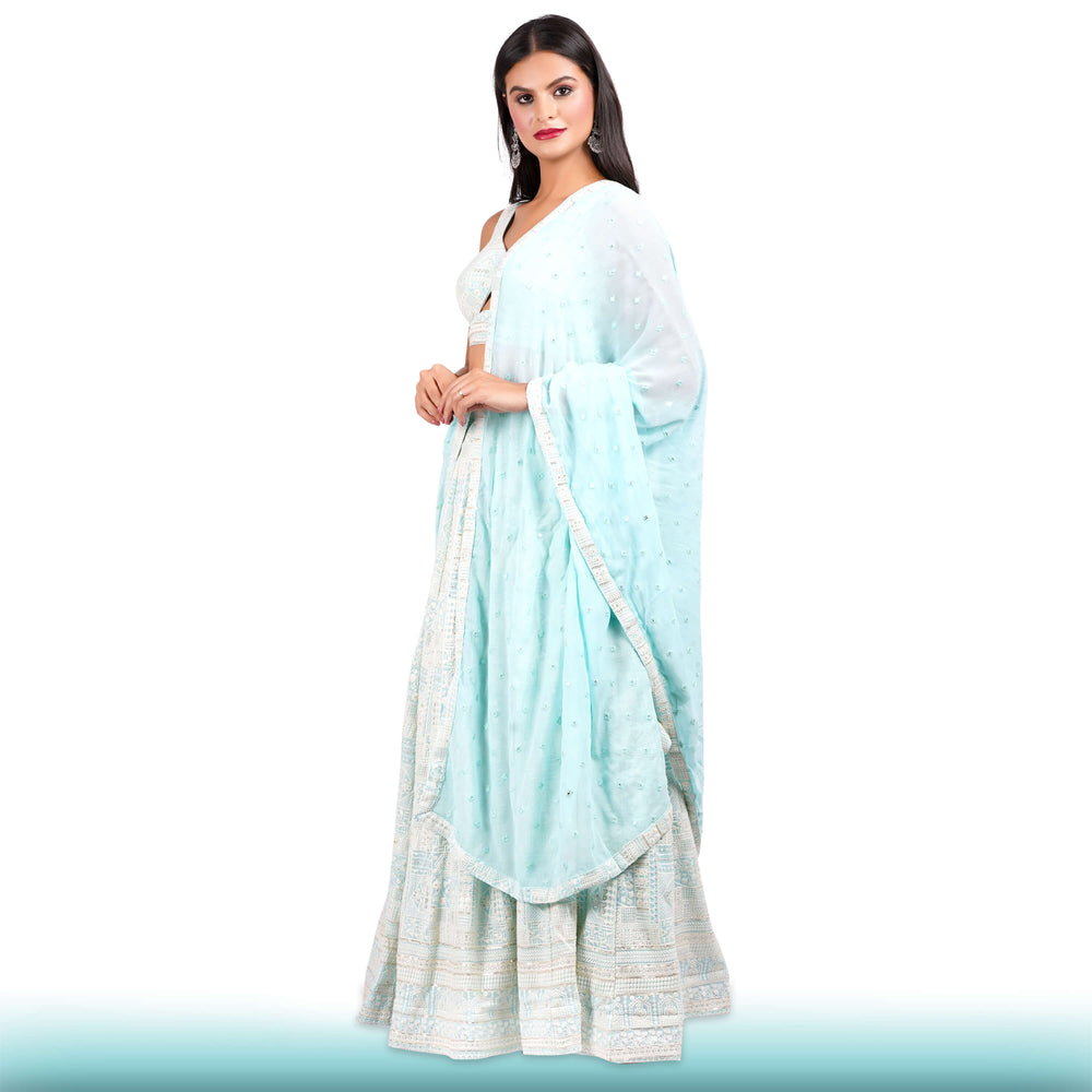 Baby Blue Chikankari Lehenga with a Sexy Blouse