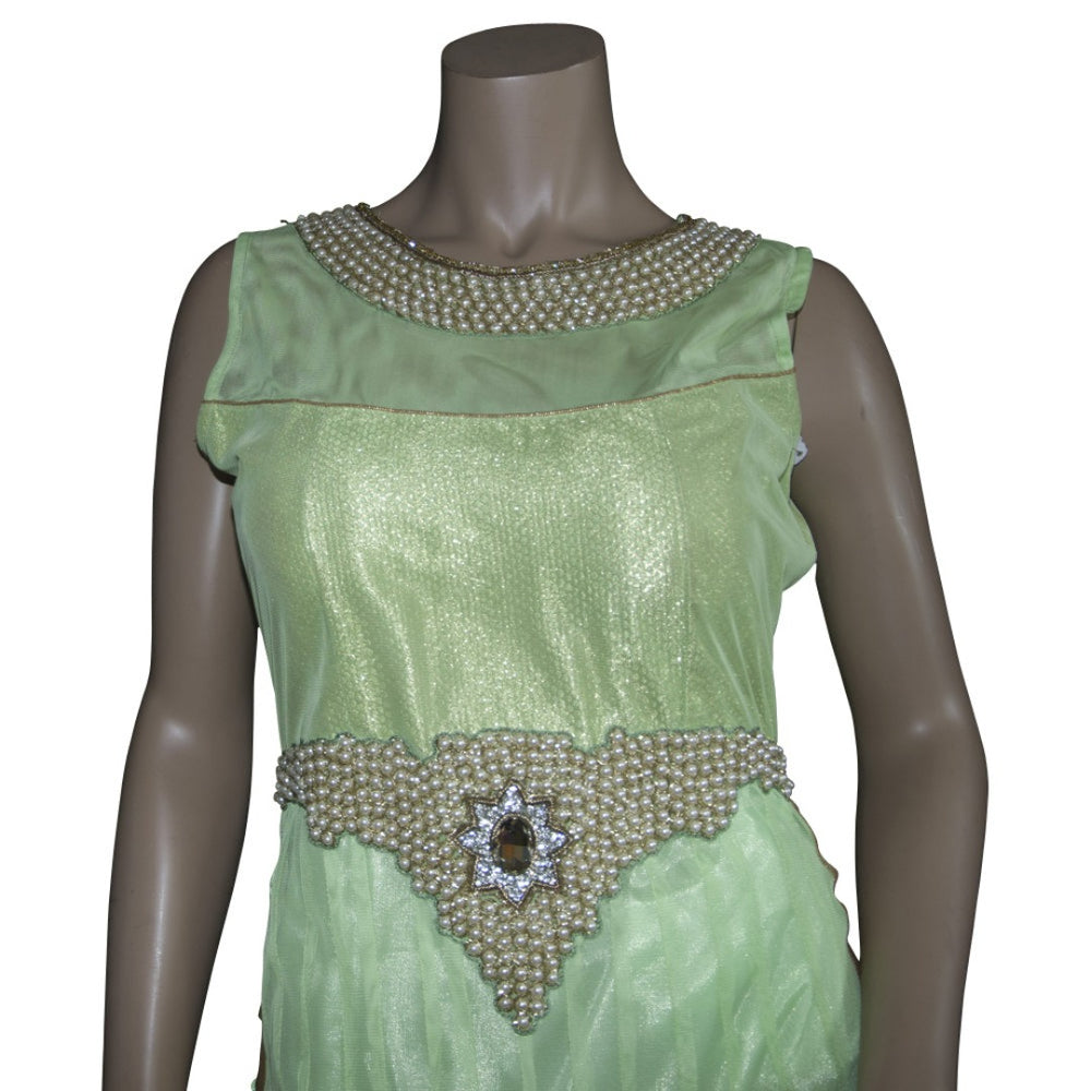 Light green embroidered floor length gown - Chiro's By Jigyasa